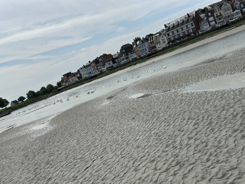 Agrandir l'image Visite insolite et gourmande au coeur de la Baie de Somme (image 4)