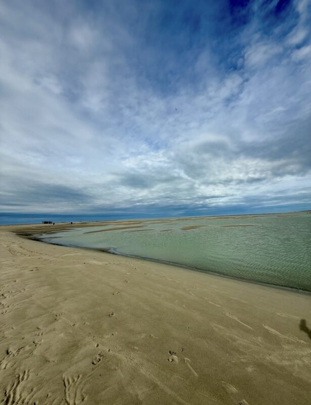 Agrandir l'image À la découverte des phoques et des saveurs locales (image 3)