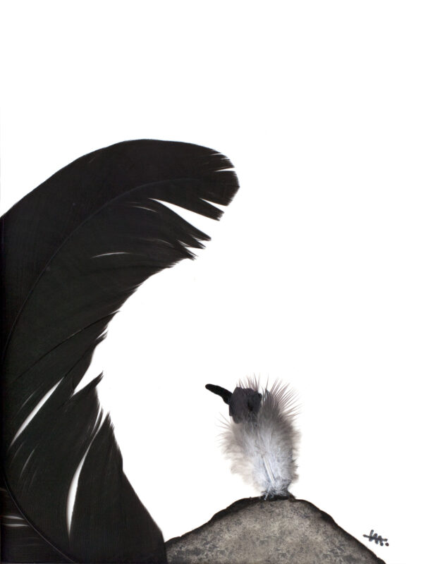 Agrandir l'image Plumus - Encre et plumes Elice Meng (image 3)