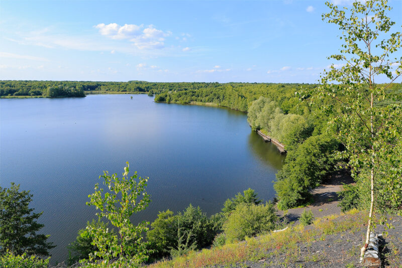 Agrandir l'image Paradis des oiseaux à la Mare à Goriaux (image 2)
