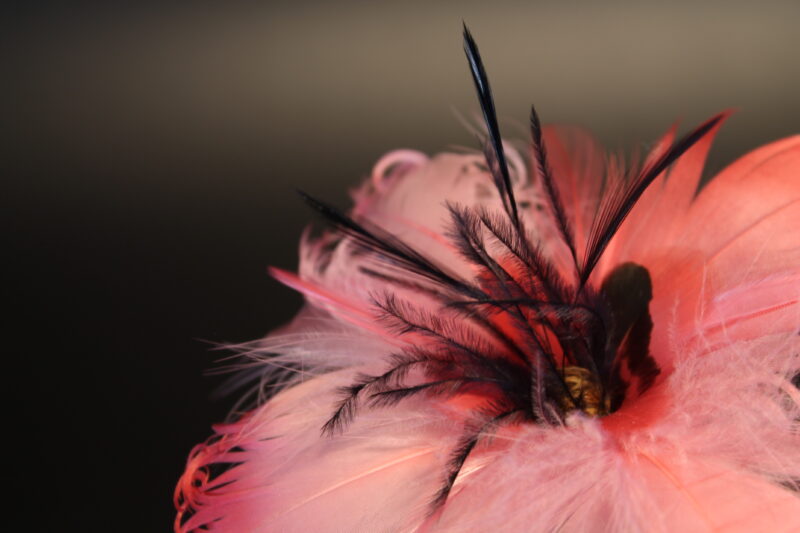 Agrandir l'image Souffle de plumes - Sylvie Châtillon (image 11)