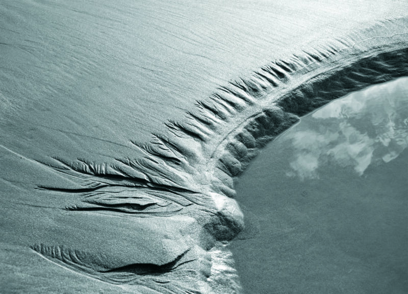 Agrandir l'image Aventure photo unique en baie de Somme (image 15)