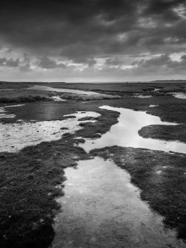 Agrandir l'image Aventure photo unique en baie de Somme (image 16)