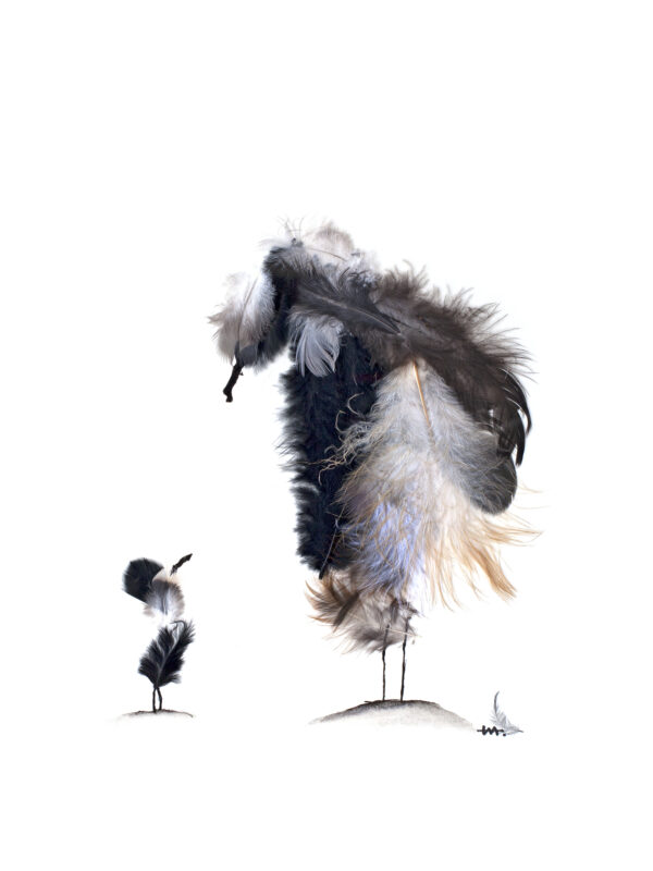 Agrandir l'image Plumus - Encre et plumes Elice Meng (image 4)