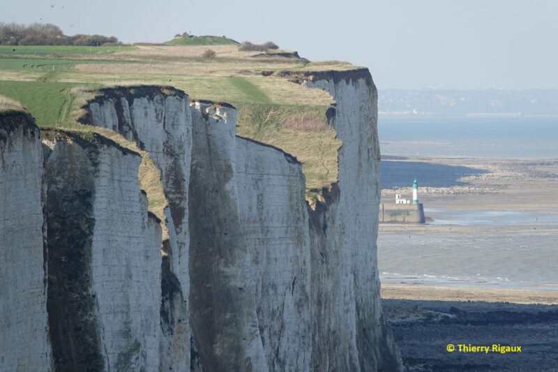 Agrandir l'image Passereaux, échassiers et rapaces : le spectacle du ciel (image 5)