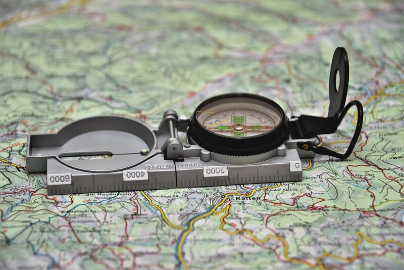 Agrandir l'image Les migrateurs et les étoiles (image 3)