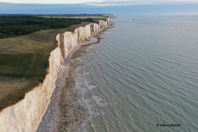Agrandir l'image Passereaux, échassiers et rapaces : le spectacle du ciel (image 4)