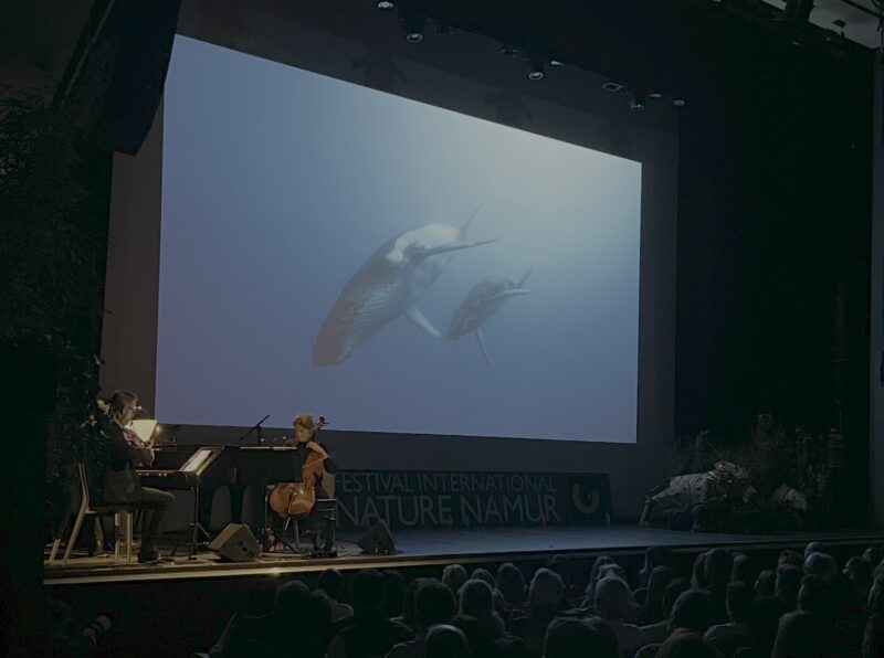 Agrandir l'image Soirée d'inauguration (image 5)