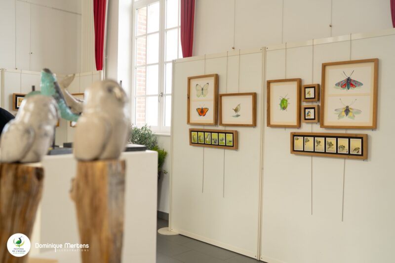 Les expos d'art animalier à l'ancien Tribunal de Saint Valery sur Somme