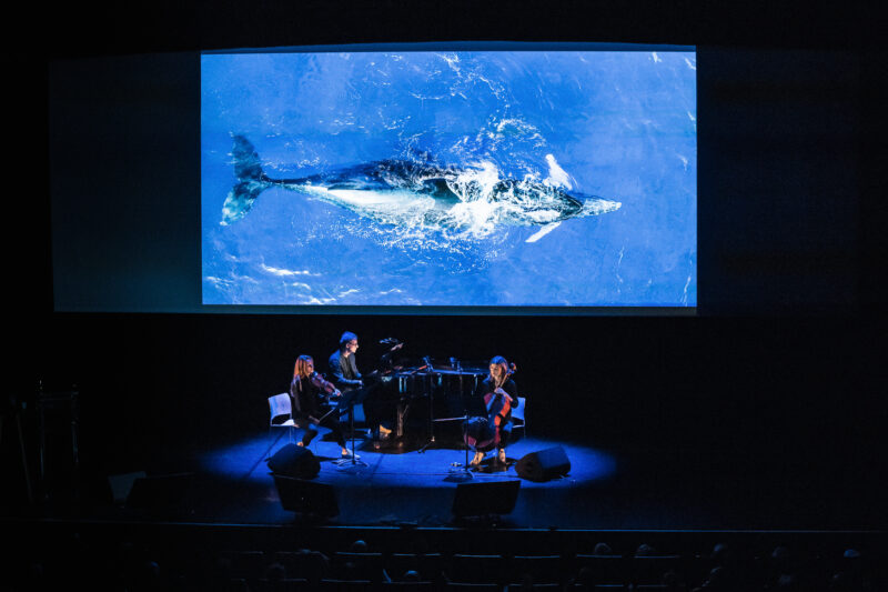 Le Ciné-Concert de la Soirée d'Inauguration